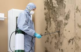 Best Real Estate Mold Inspection  in Andusia, AL